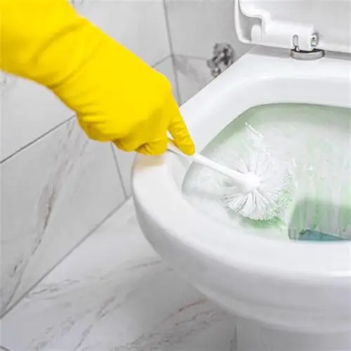 Toilet brush round