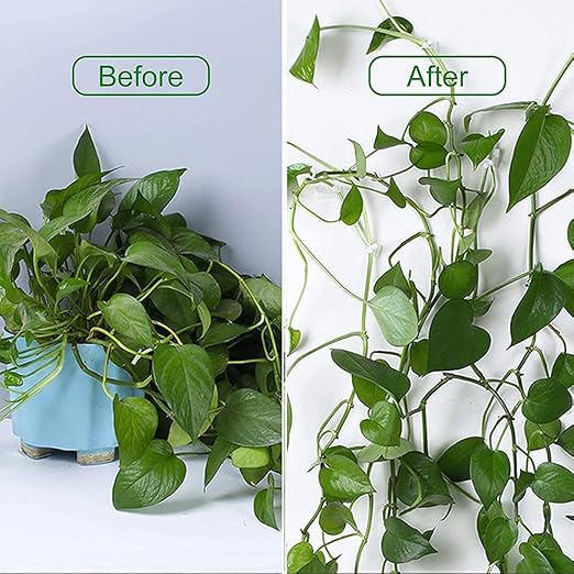 Plant Clip