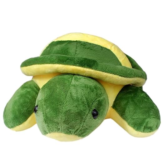 Green Turtle Soft Toy For Kids