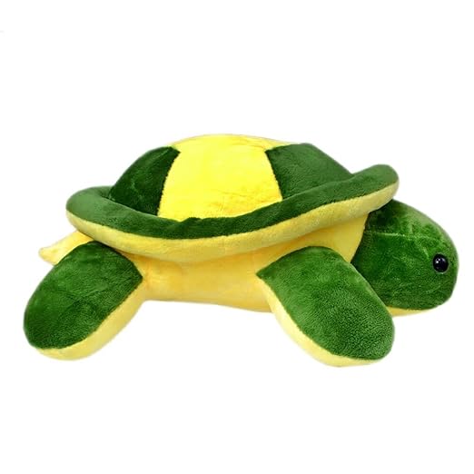 Green Turtle Soft Toy For Kids