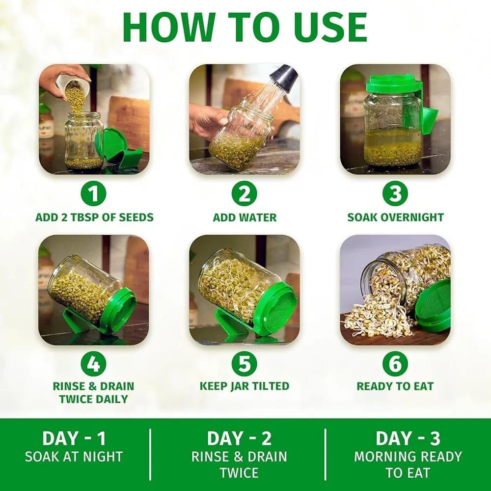 Sprouts Maker Box (720ml)